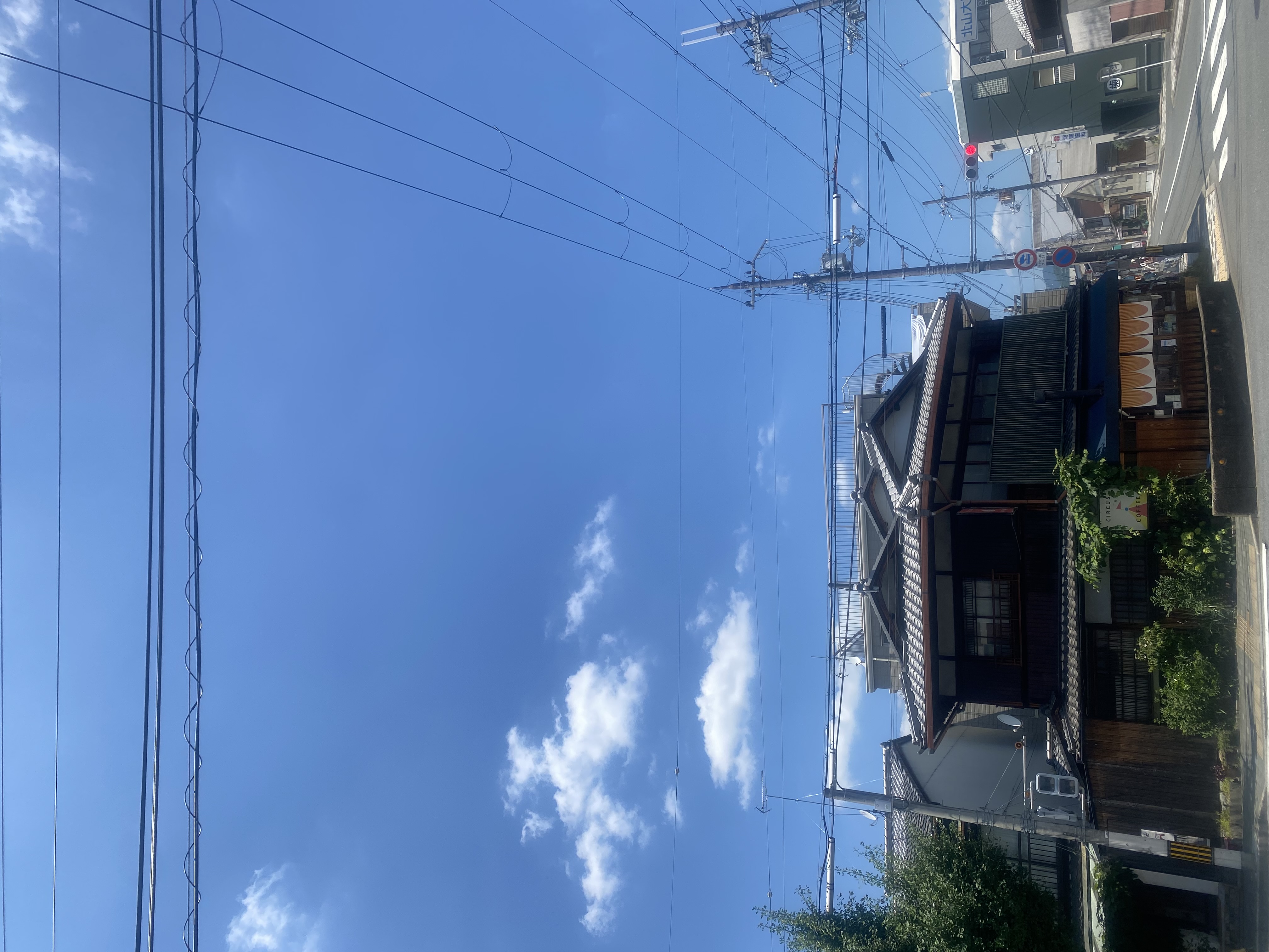 img_1092.jpeg
