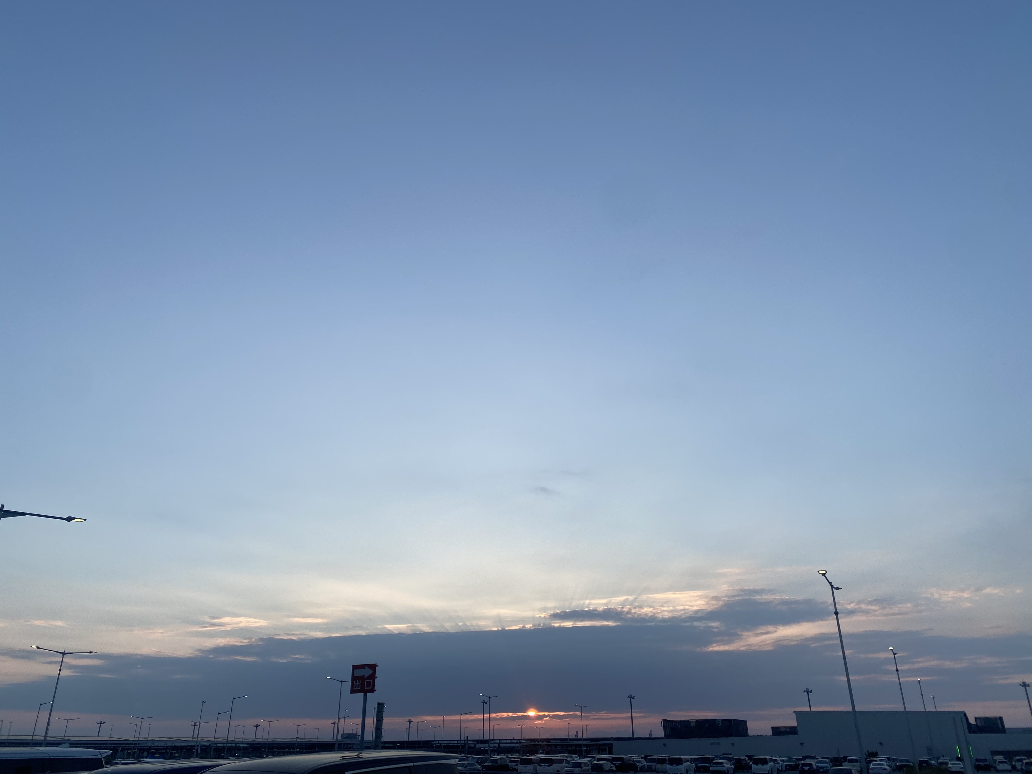 img_1174.jpeg